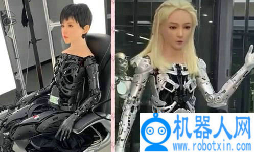 性功能机器人视频