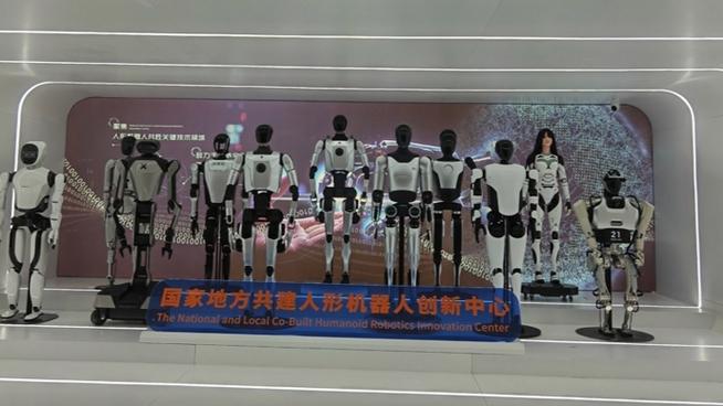 湖北闪电侠机器人用途