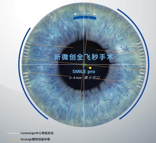 外存储器 硬盘属于内存储器还是外存储器 外存储器 硬盘属于内存储器还是外存储器