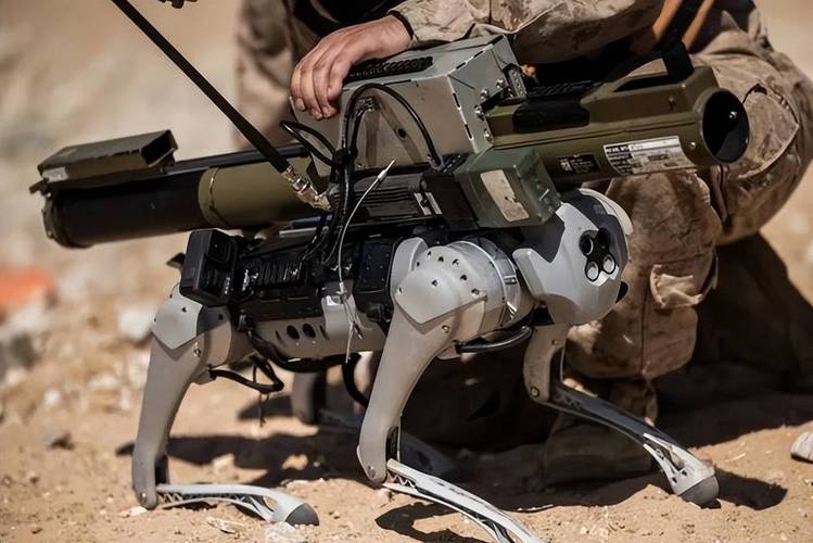 机器人一二级考级器材