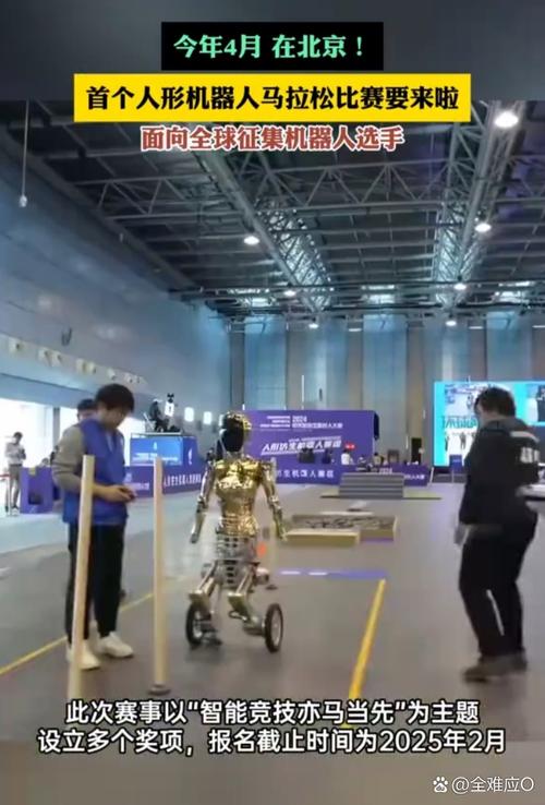 猫猫飞翔ai飞翔猫爱豆