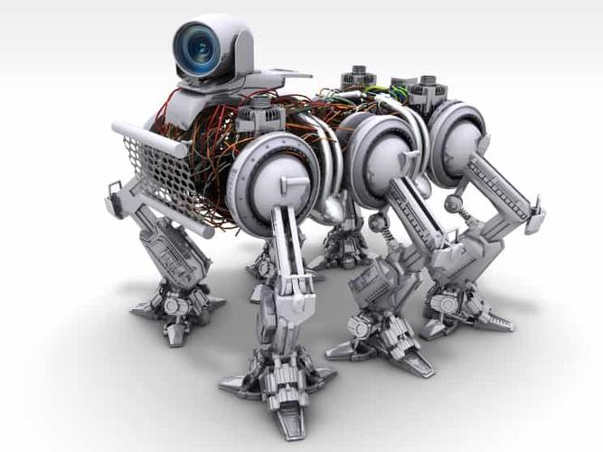 广志是怎么变成机器人 广志是怎么变成机器人