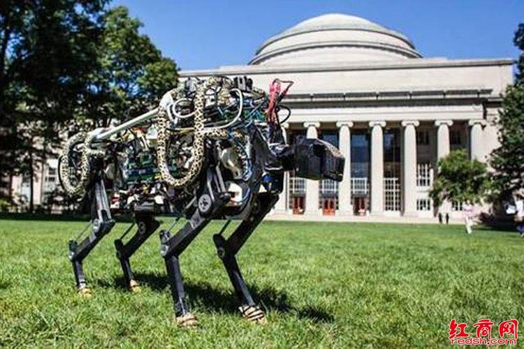 松鼠ai教育网络密码 松鼠ai教育网络密码