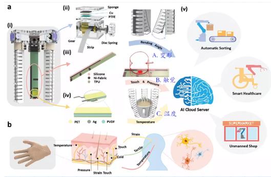 功夫鸡隐形机器人打架