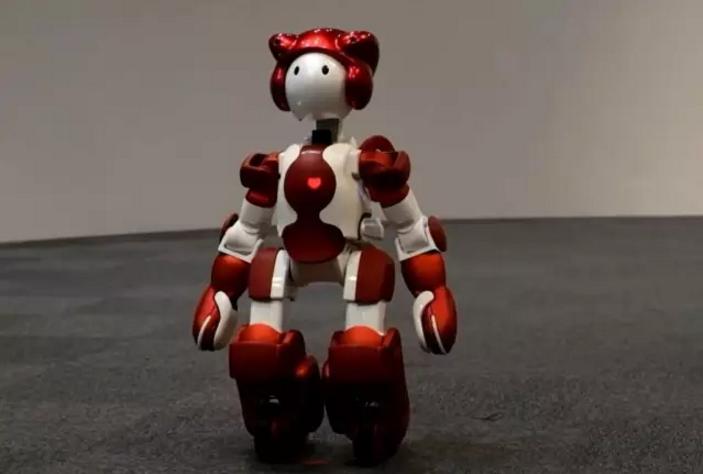 聪明的顺溜机器人教学