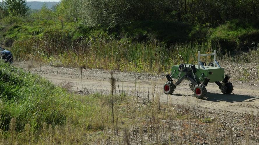 健康码颜色 健康码颜色分别是什么意思