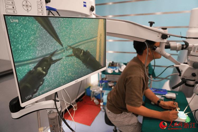 郎朗音乐会 郎朗音乐会门票价格 郎朗音乐会 郎朗音乐会门票价格