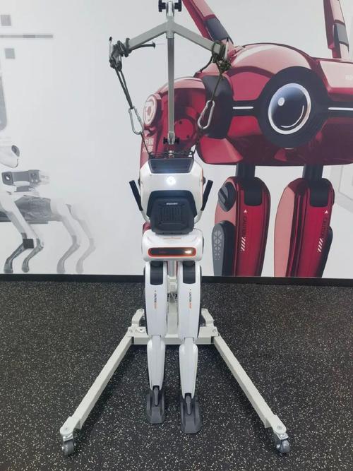 荒野大乱斗机器人兄弟