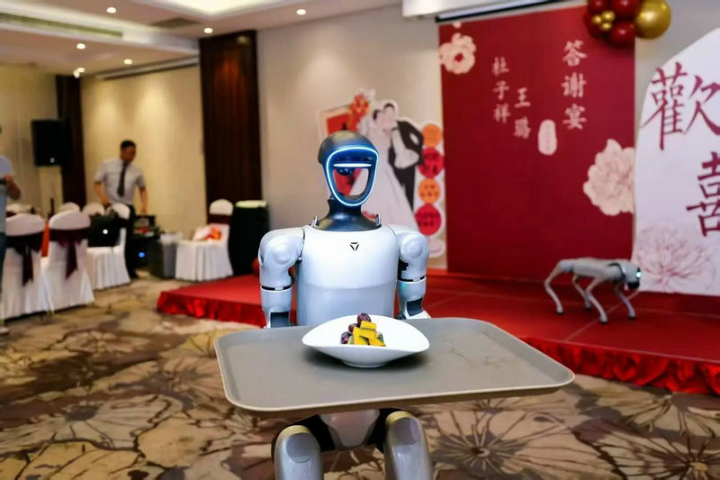 远程培训平台 远程培训平台手机上怎么打不开