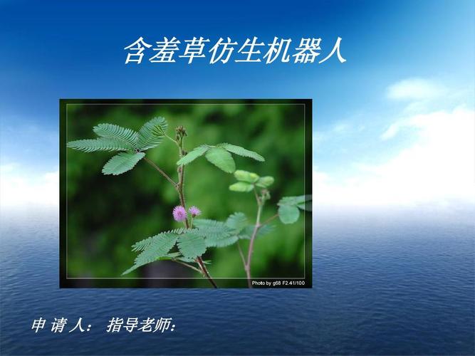 移动关爱卡送智能手表 移动关爱卡送智能手表
