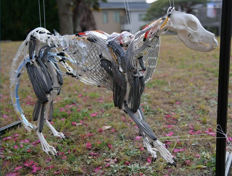 ai怎么删除渐变批注者