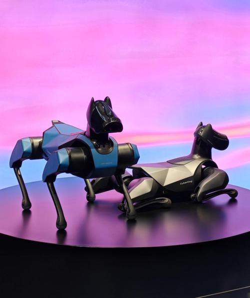 儿童机器人芯片有几个