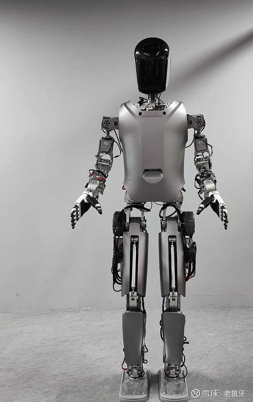 机器人阑尾手术多少钱