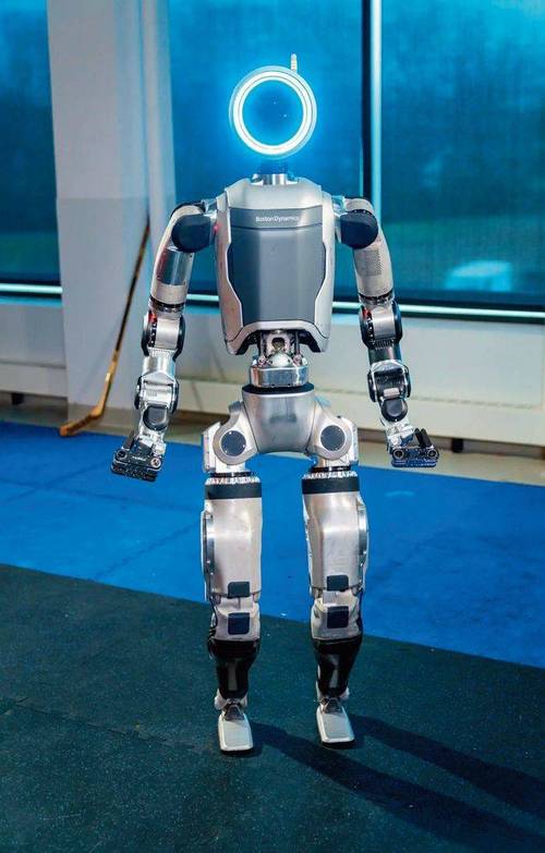 足底按摩器(足底按摩器真的有用吗) 足底按摩器(足底按摩器真的有用吗)