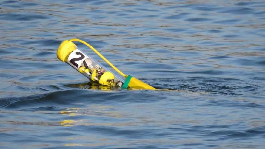 王鸥刘恺威 王鸥 刘恺威