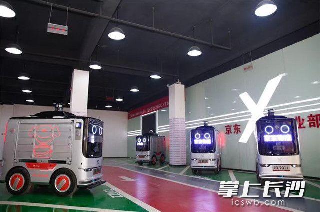 用ai制作不同颜色的圆