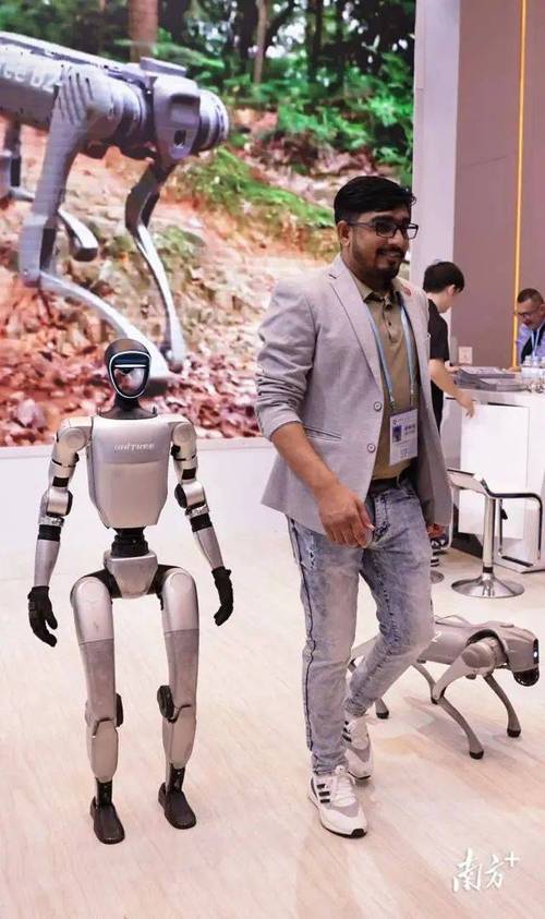 罗晋唐嫣个人资料简介