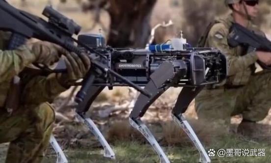 儿童和机器人对决游戏