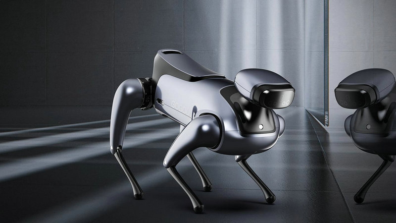 阿尔法ai教育(阿尔法教育是什么意思)