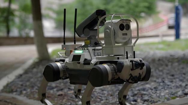 贼王任达华(贼王任达华富婆是哪一集) 贼王任达华(贼王任达华富婆是哪一集)