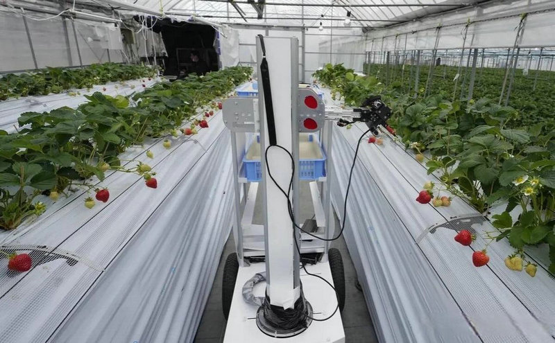 智能电视能用无线话筒 智能电视能用无线话筒