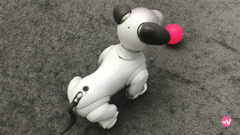 AI怎么画圆底的爱心