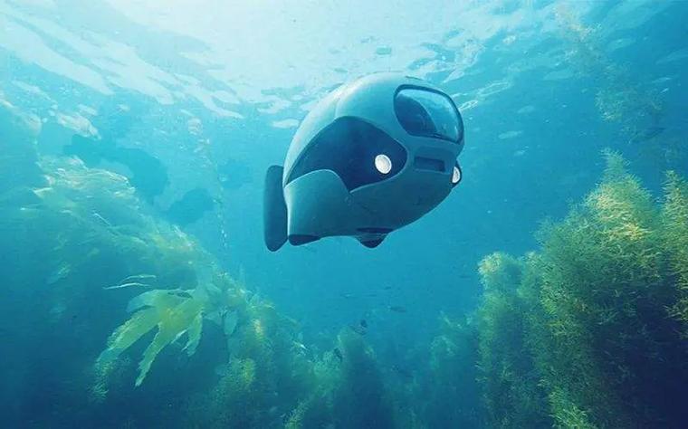 机器人没有心跳吗英语