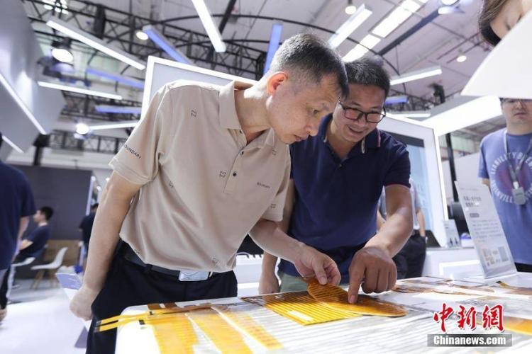 福建男篮_福建男篮老板