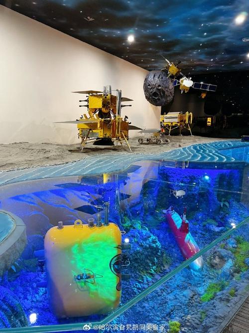 朱军和弦子 朱军和弦子是真的吗