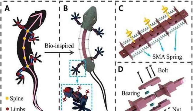 淄博公交智能站点 淄博新开通公交