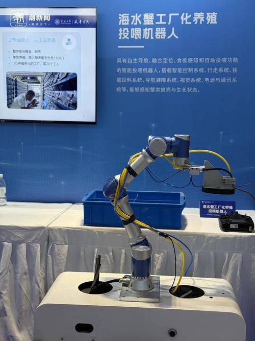 机器人应用论文怎么写