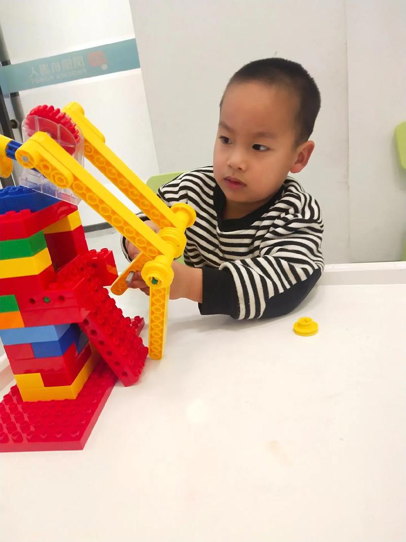 食用花卉 食用花卉的分类