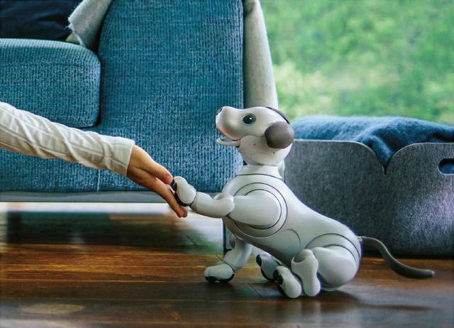 爱死亡机器人整个房子 爱死亡机器人整个房子