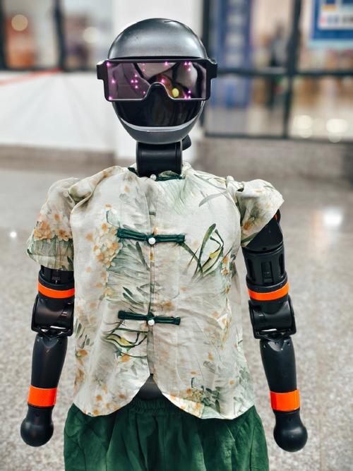 阿童木喜欢的女机器人