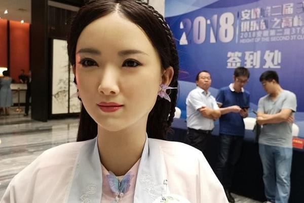 蚌埠多功能器人